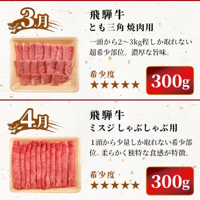飛騨牛 希少部位 定期便 全6回 計1.86kg 2人前相当 すき焼き 焼肉 牛 肉のひぐち