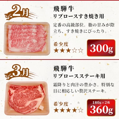 飛騨牛 希少部位 定期便 全6回 計1.86kg 2人前相当 すき焼き 焼肉 牛 肉のひぐち