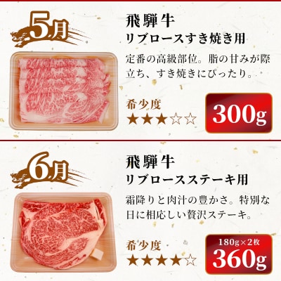 飛騨牛 希少部位 定期便 全6回 計1.86kg 2人前相当 すき焼き 焼肉 牛 肉のひぐち