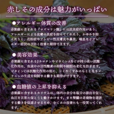 東白川村産赤しそ使用! しそしそばなし 12本 720ml 紫蘇 紫蘇ジュース しそ しそジュース