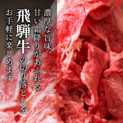 飛騨牛 切り落とし 1.4kg(700g×2P) 訳あり 牛肉 養老ミート