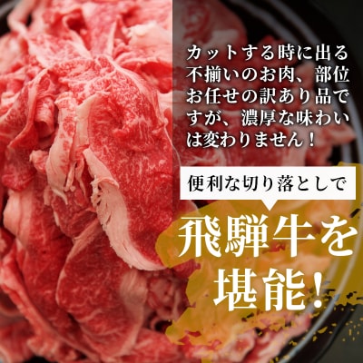 飛騨牛 切り落とし 1.4kg(700g×2P) 訳あり 牛肉 養老ミート