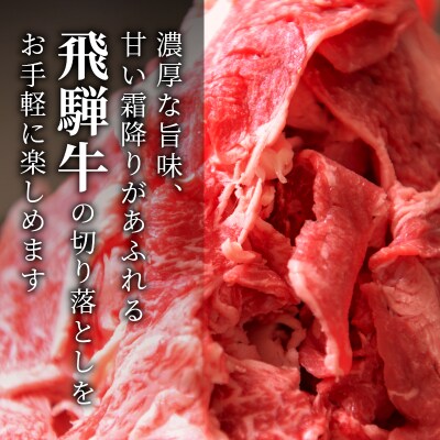 飛騨牛 切り落とし 2.1kg(700g×3P) 訳あり 養老ミート