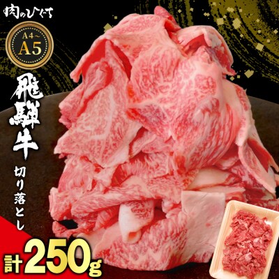 飛騨牛 切り落とし 250g A5 A4 黒毛和牛 訳あり 肉のひぐち
