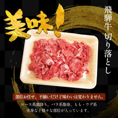 飛騨牛 切り落とし 500g(250g×2P) 訳あり 肉のひぐち