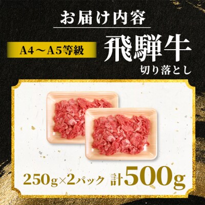 飛騨牛 切り落とし 500g(250g×2P) A5 A4 黒毛和牛 訳あり 肉のひぐち
