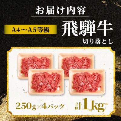 飛騨牛 切り落とし 1kg(250g×4P) A5 A4 黒毛和牛 訳あり 肉のひぐち