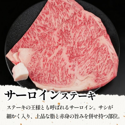 飛騨牛 サーロインステーキ 3枚 500g ソース付き ステーキ A5 A4 黒毛和牛 肉のひぐち