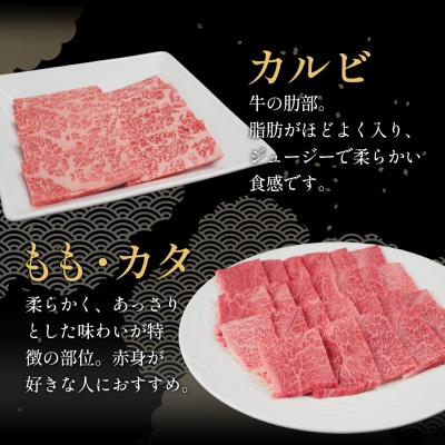 飛騨牛 BBQセットカルビ&モモカタ 400g 焼肉 A5 A4 黒毛和牛 肉のひぐち