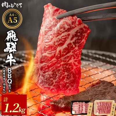 飛騨牛 BBQセットカルビ&モモカタ 1.2kg 焼肉 A5 A4 黒毛和牛 肉のひぐち