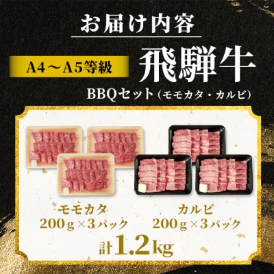 飛騨牛 BBQセットカルビ&モモカタ 1.2kg 焼肉 A5 A4 黒毛和牛 肉のひぐち
