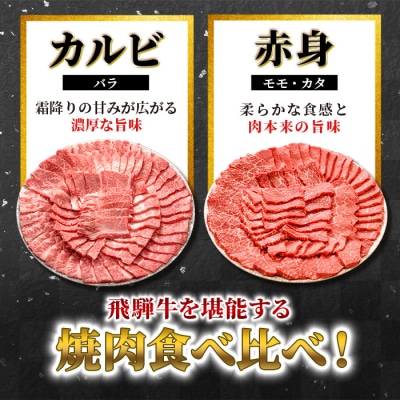 贅沢! 飛騨牛 焼肉セット 2人前 400g BBQ 養老ミート
