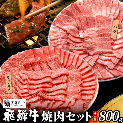 贅沢! 飛騨牛 焼肉セット 4人前 800g BBQ 養老ミート