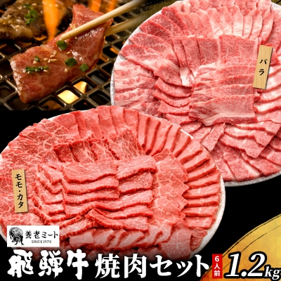 贅沢! 飛騨牛 焼肉セット 6人前 1.2kg 牛肉 和牛 肉 焼肉 BBQ 養老ミート