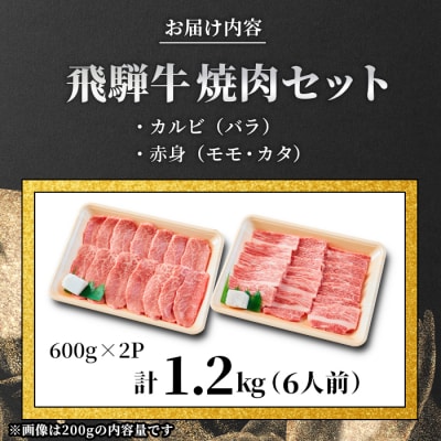 【12/21入金分まで年内発送】 贅沢! 飛騨牛 焼肉セット 6人前 1.2kg BBQ 養老ミート