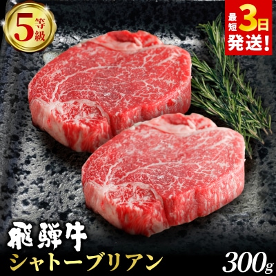 飛騨牛 最高5等級 シャトーブリアン ステーキ用 300g(150g×2枚)  赤身 養老ミート