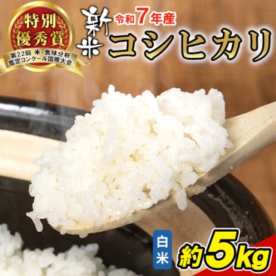 令和7年産 新米 コシヒカリ 精米 約5kg 米 岐阜県 東白川村産