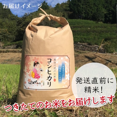 令和7年産 新米 コシヒカリ 精米 約5kg 米 岐阜県 東白川村産