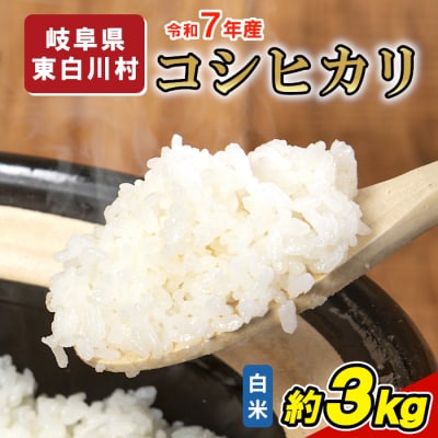 令和7年産 コシヒカリ 精米 約3kg 米 岐阜県 東白川村産