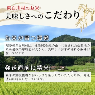 令和7年産 コシヒカリ 精米 約3kg 米 岐阜県 東白川村産