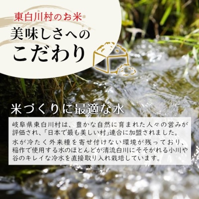 令和7年産 コシヒカリ 精米 約3kg 米 岐阜県 東白川村産