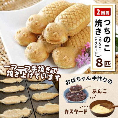 定期便全3回 ふるさとおやつセット 白川茶屋のおばちゃん便 五平餅 つちのこ焼き 草大福餅 白川茶屋