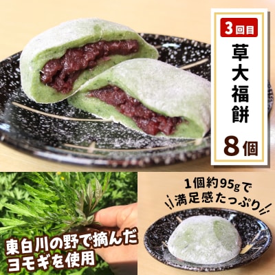 定期便全3回 ふるさとおやつセット 白川茶屋のおばちゃん便 五平餅 つちのこ焼き 草大福餅 白川茶屋