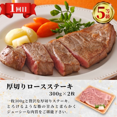 最高等級 5等級限定 飛騨牛3回定期便 ロース シャトーブリアン 養老ミート