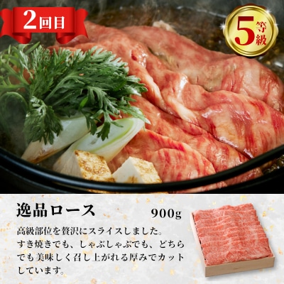 最高等級 5等級限定 飛騨牛3回定期便 ロース シャトーブリアン 養老ミート