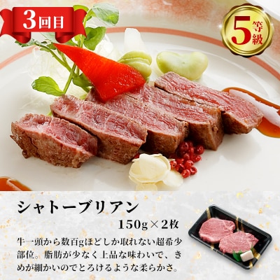 最高等級 5等級限定 飛騨牛3回定期便 ロース シャトーブリアン 養老ミート