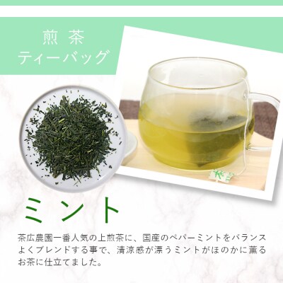 煎茶ティーバッグ ミント 8個 東白川村産 岐阜県産 煎茶 上煎茶 ミント ティーバッグ
