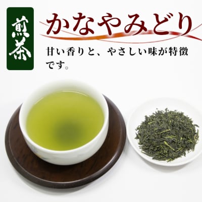 栽培期間中 農薬不使用! 煎茶 かなやみどり 100g 常磐園 日本茶 緑茶 煎茶