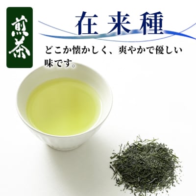 栽培期間中 農薬不使用! 煎茶 在来種 100g 常磐園 日本茶 緑茶 煎茶