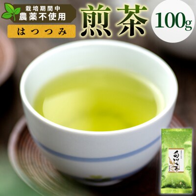 栽培期間中 農薬不使用! 煎茶 はつつみ 100g 常磐園 日本茶 緑茶 煎茶