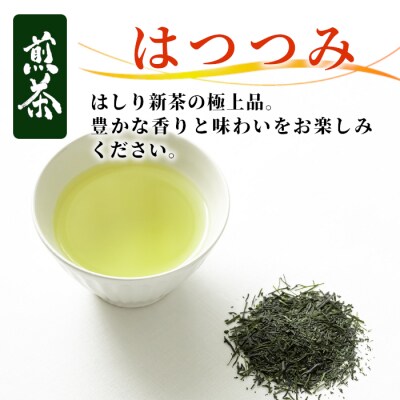 栽培期間中 農薬不使用! 煎茶 はつつみ 100g 常磐園 日本茶 緑茶 煎茶