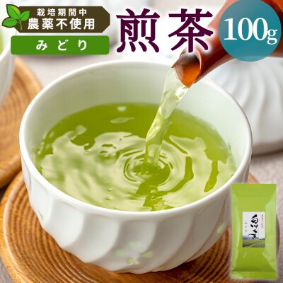 栽培期間中 農薬不使用! 煎茶 みどり 100g 常磐園 日本茶 緑茶 煎茶