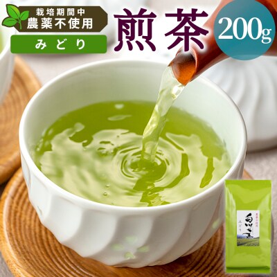 栽培期間中 農薬不使用! 煎茶 みどり 200g 常磐園 日本茶 緑茶 煎茶