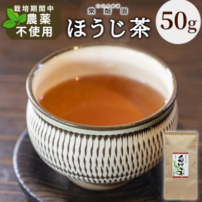 栽培期間中 農薬不使用! 浅炒りほうじ茶 50g 常磐園 ほうじ茶 日本茶 緑茶 煎茶