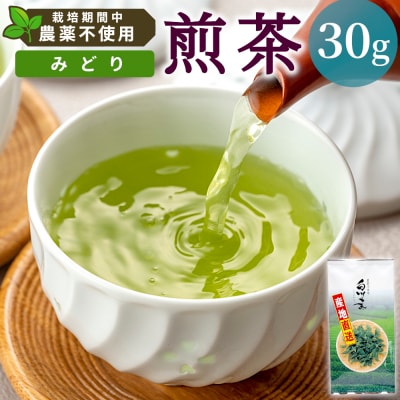 栽培期間中 農薬不使用! 煎茶 みどり 30g 常磐園 日本茶 緑茶 煎茶