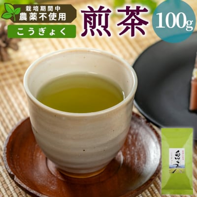栽培期間中 農薬不使用! 煎茶 こうぎょく 100g 常磐園 日本茶 緑茶 煎茶