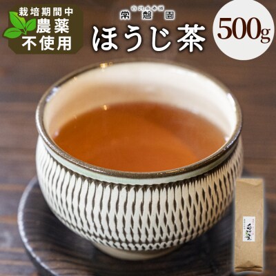 栽培期間中 農薬不使用! 浅炒りほうじ茶 500g 常磐園 日本茶 ほうじ茶 緑茶 煎茶