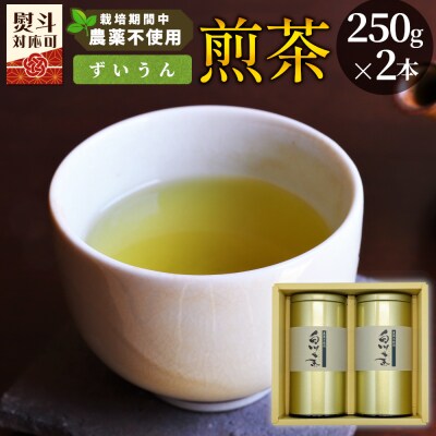 栽培期間中 農薬不使用! 煎茶 ギフト NO.2 (ずいうん 250g×2) 常磐園 日本茶