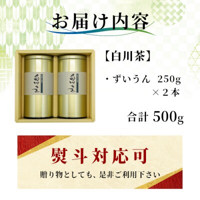 栽培期間中 農薬不使用! 煎茶 ギフト NO.2 (ずいうん 250g×2) 常磐園 日本茶