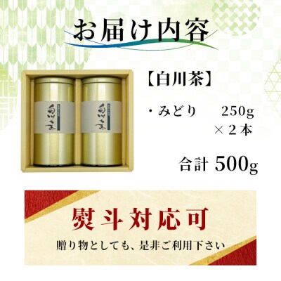 栽培期間中 農薬不使用! 煎茶 ギフト NO.4 (みどり 250g×2本) 常磐園 日本茶