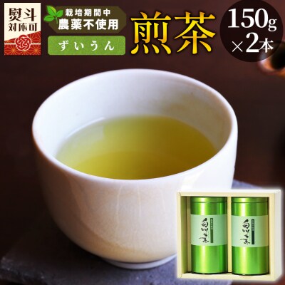 栽培期間中 農薬不使用! 煎茶 ギフト NO.10 (ずいうん 150g×2本) 常磐園 日本茶