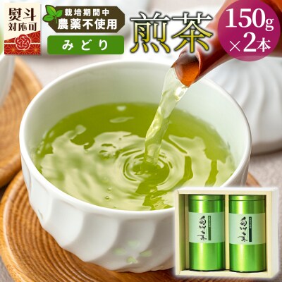 栽培期間中 農薬不使用! 煎茶 ギフト NO.12 (みどり 150g×2本) 常磐園 日本茶
