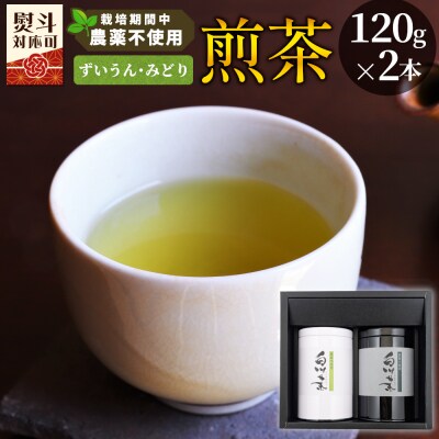栽培期間中 農薬不使用! 煎茶 ギフト NO.15 (ずいうん みどり各120g) 常磐園 日本茶
