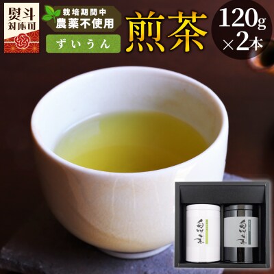 栽培期間中 農薬不使用! 煎茶 ギフト NO.13 (ずいうん 120g×2本) 常磐園 日本茶
