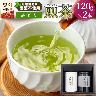 栽培期間中 農薬不使用! 煎茶 ギフト NO.16 (みどり120g×2本) 常磐園 日本茶