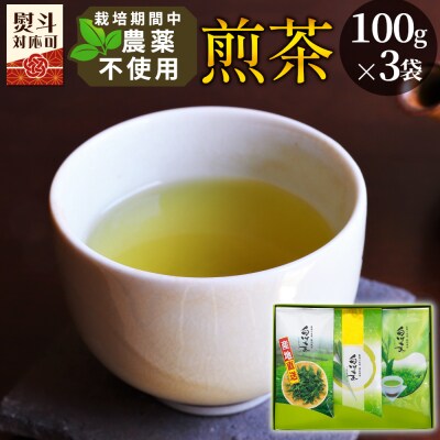 栽培期間中農薬不使用! 煎茶 ギフト NO.27 (ずいうん こうぎょく みどり各100g) 常磐園
